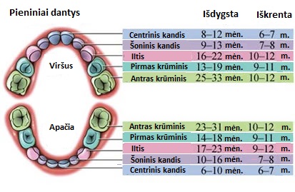 vaiku dantu gydymas